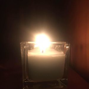 Meet your Posher, Terry